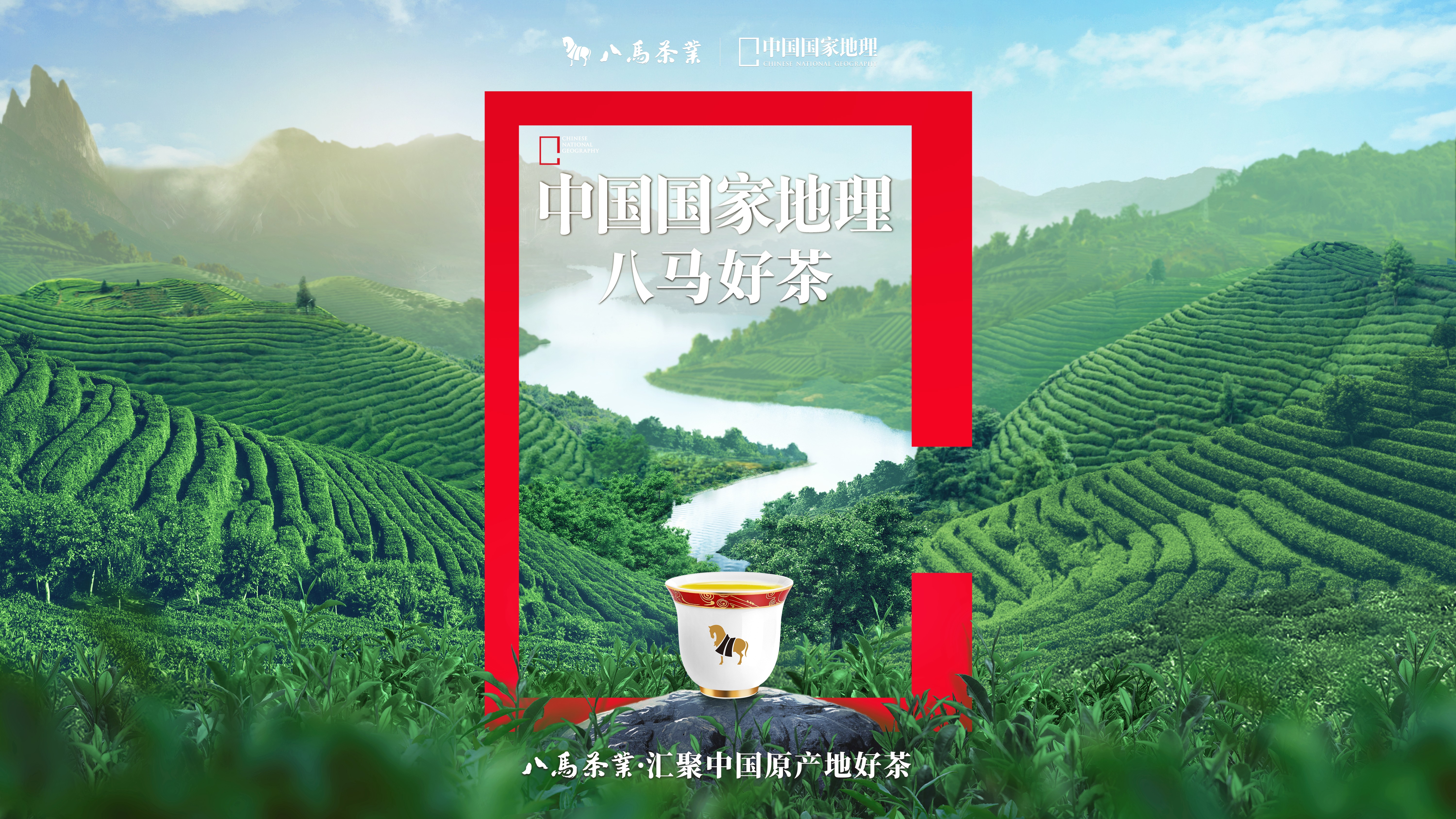 八马茶业携手中国国家地理,发现地道好茶之美 - 八马茶业官网——八马